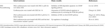 Amelioration of myocardial ischemia/reperfusion injury in diabetes: A narrative review of the mechanisms and clinical applications of dexmedetomidine